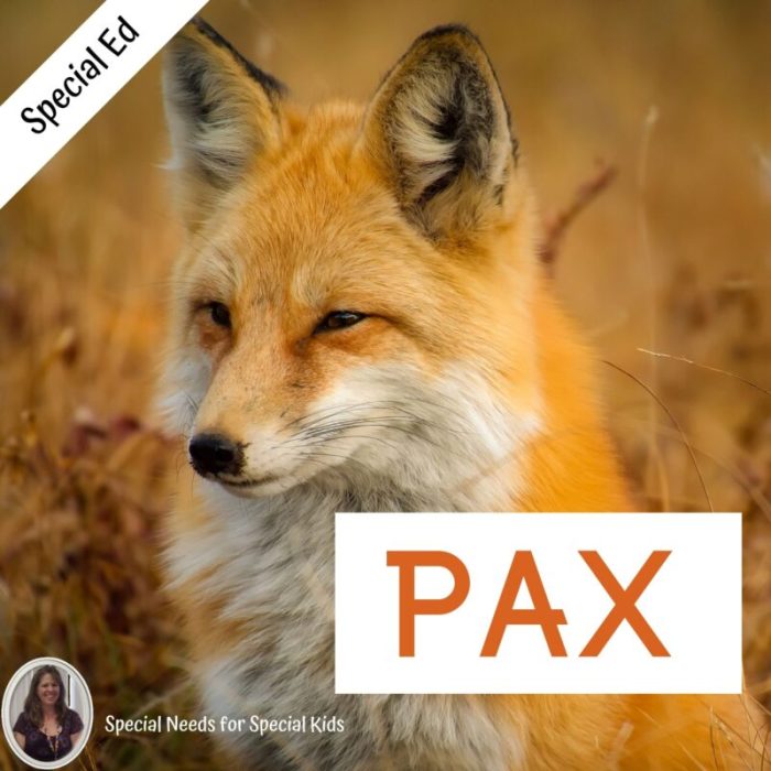 Pax novel study guide free