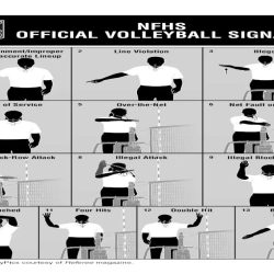 Volleyball line judge flag signals