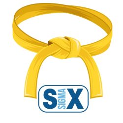 Belt yellow sigma six edds