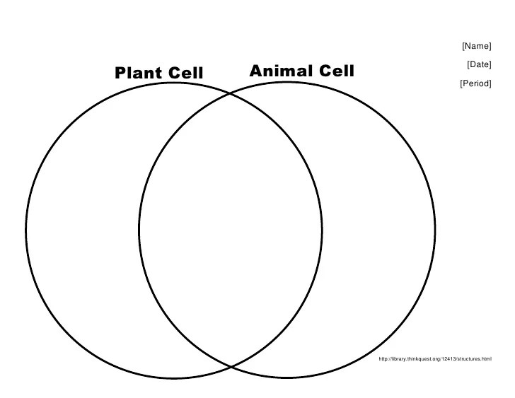 Plant and animal cell venn diagram