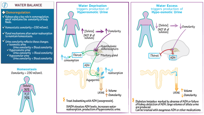 Balance water wastewater figure house