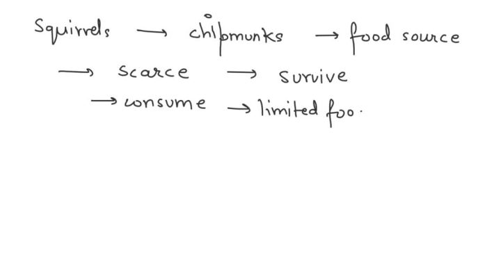 Squirrels and chipmunks compete for the same food source