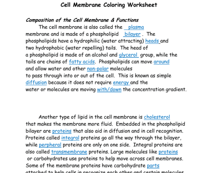 In da club membranes and transport worksheet answers