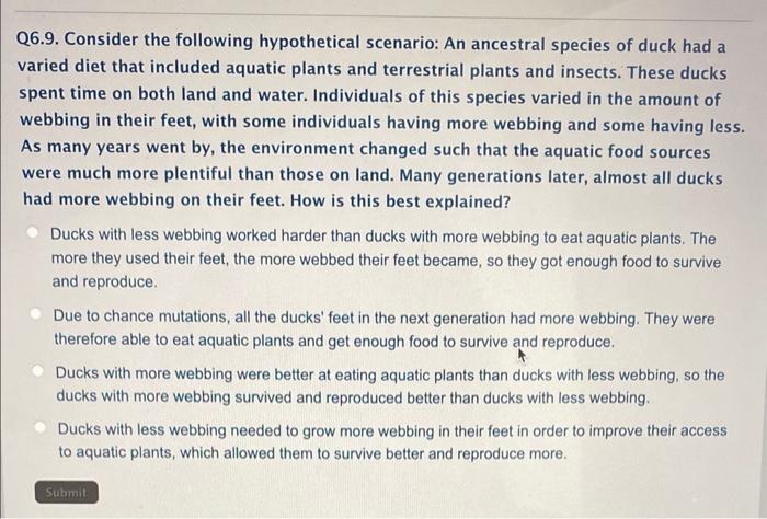 Consider the following hypothetical scenario an ancestral species of duck