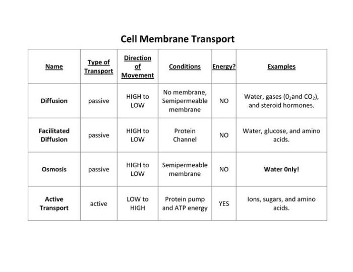 In da club membranes and transport worksheet answers