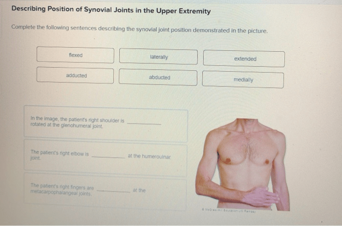 Synovial