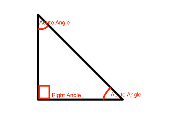 A right triangle has one angle that measures 23